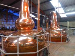 Dingle Distillery, Dingle Distillery -People Behind the Business