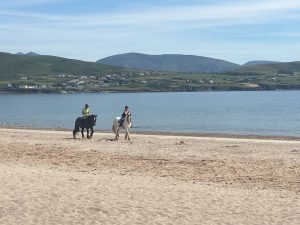 , 30 things to do in Dingle Part 3 of 6
