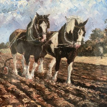 Heavy Horses by Irene Woods @CastlewoodDingle